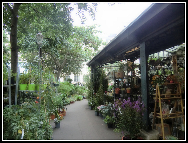 marché aux fleurs