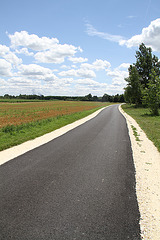 Parcours : "La loire à vélo"