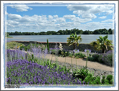 JARDIN MEDITERRANEEN