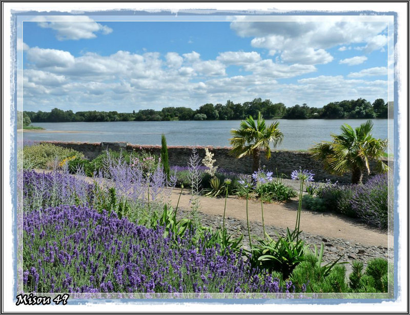 JARDIN MEDITERRANEEN
