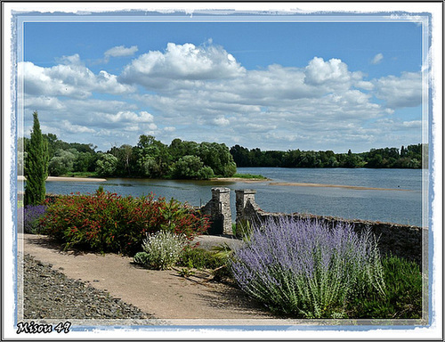 JARDIN MEDITERRANEEN