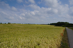 Mecklenburgische Landschaft