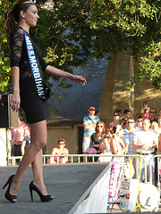 Miss Morbihan 2011