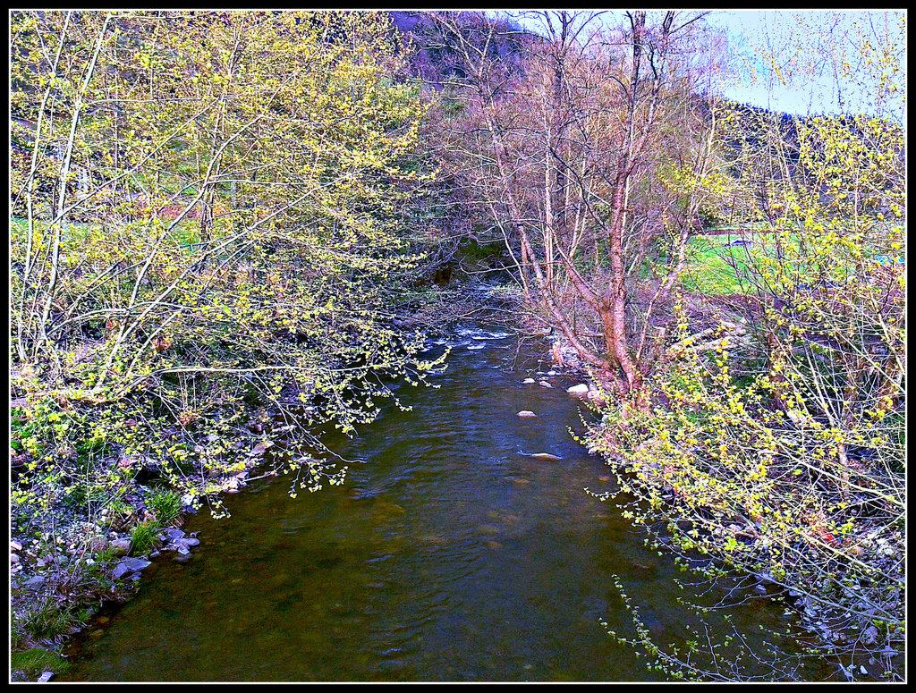 Elgorriaga (Navarra): río Ezkurra.