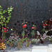 Jardin 23  Fruit de l'imagination (14)