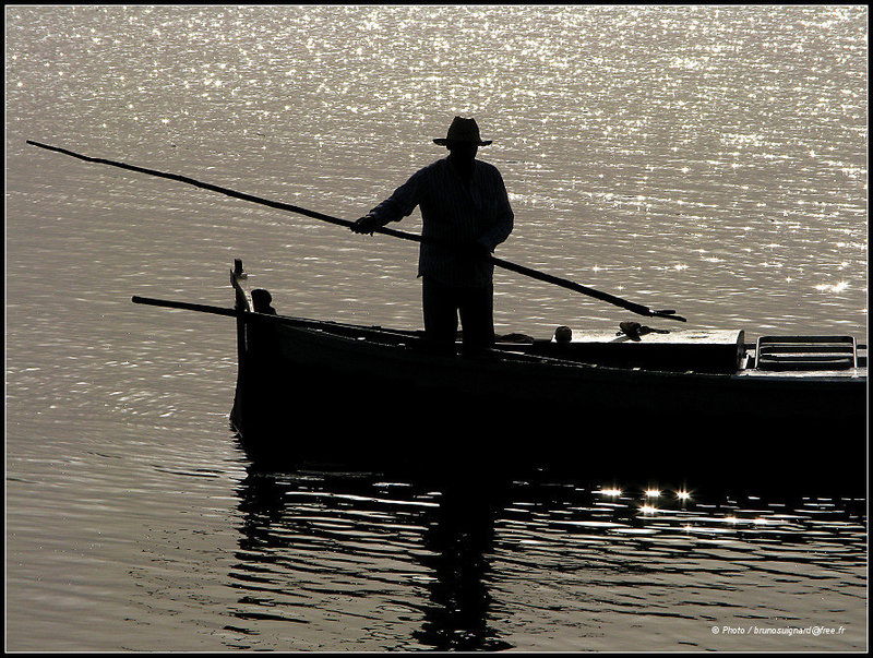 Albufera