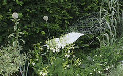 Jardin 23  Fruit de l'imagination (10)