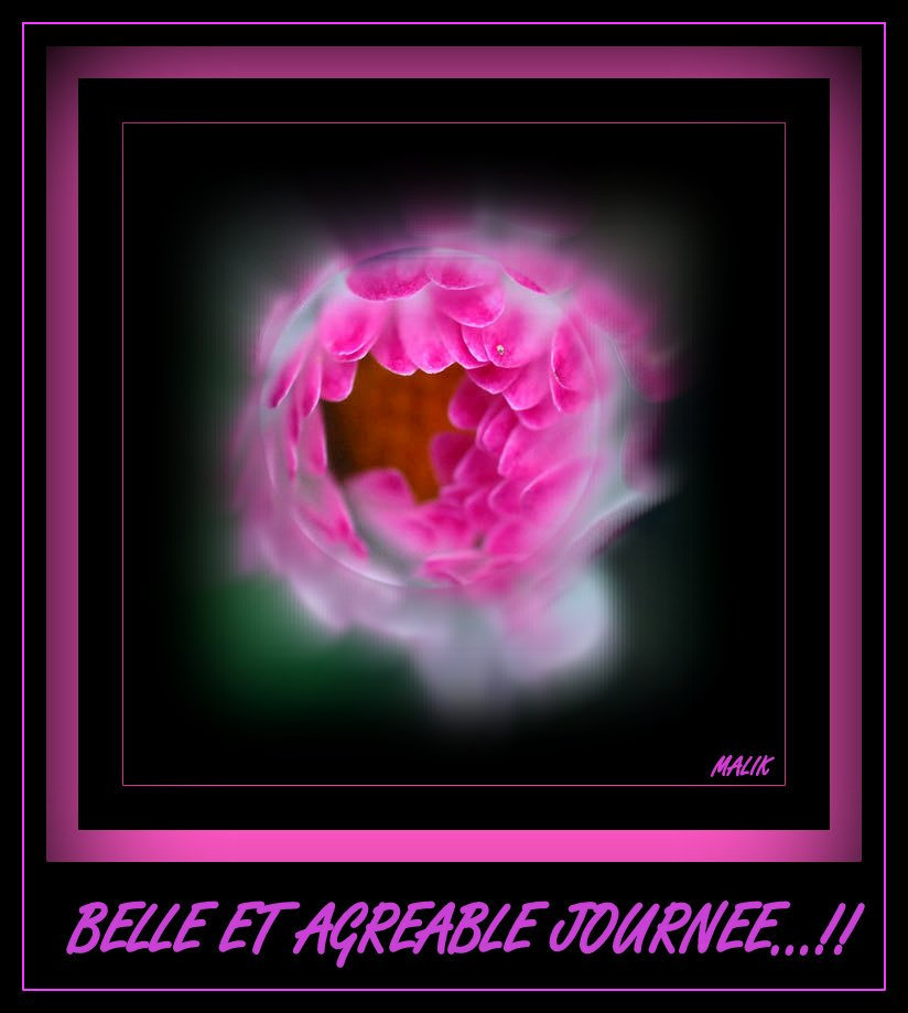Bonne journee.