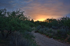 Dog Wash Sunrise