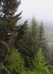 Temps du 16 mai