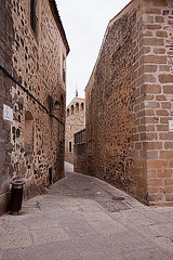 20120512 9594RWw [E] Caceres