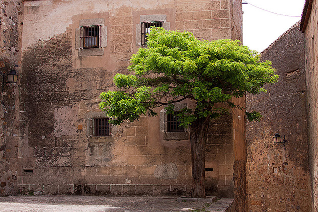 20120512 9603RAw [E] Caceres