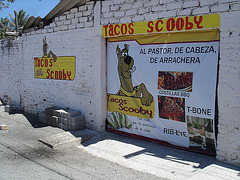 Tacos Scooby.