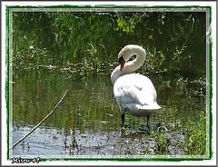 Jolie rencontre du week end