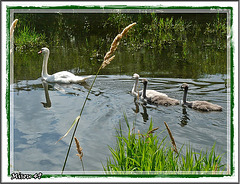 Jolie rencontre du week end