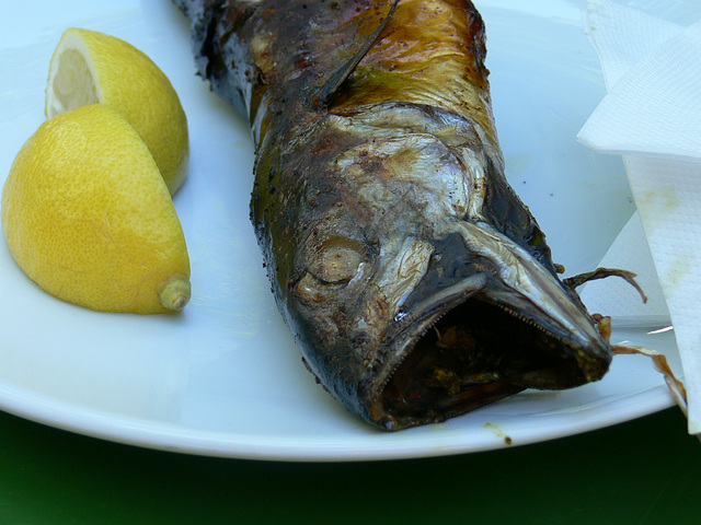 Fisch vom Grill