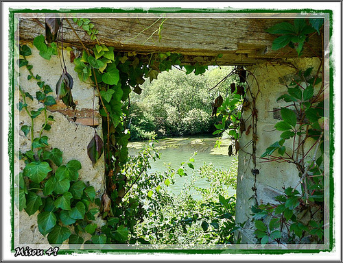 MOULIN de la BRUERE