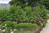 Potager