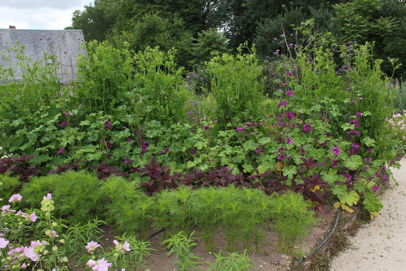 Potager