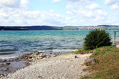 Bodensee