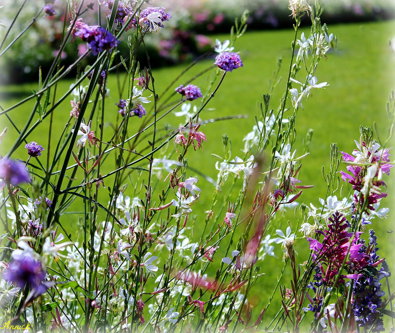 UN BOUQUET DE FLEURS ***