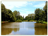 AU COEUR DE L'ETANG***