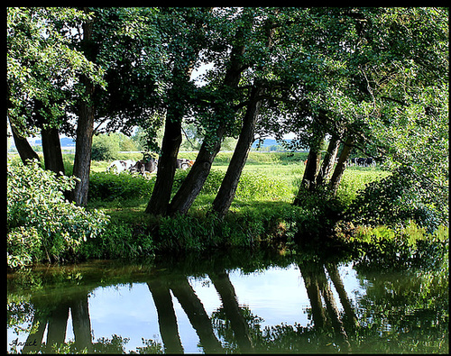 AU BORD DU RUISSEAU ***