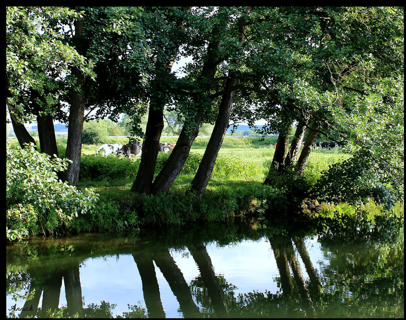 AU BORD DU RUISSEAU ***