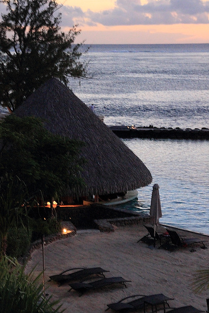 Bar côté plage