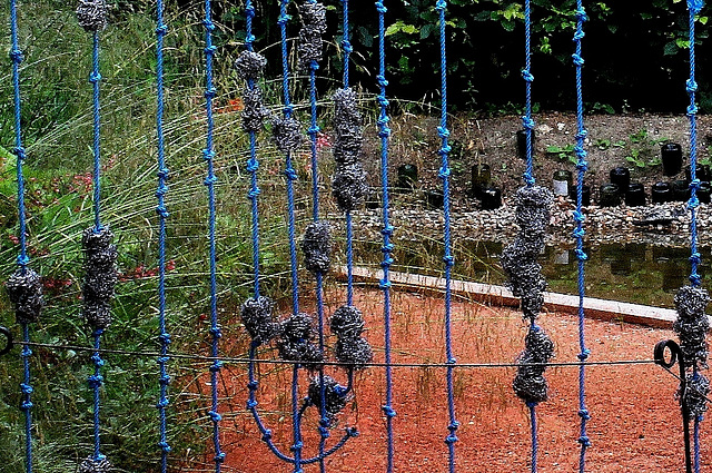 Jardin 13 : Cordon bleu