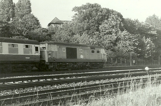 Hymek to Pompey