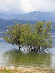 Douglas Lake