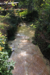 Ruisseau de Romeuf (Sardon)- Vallée de Sans-Soucis à Châtel-Guyon