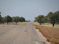 Straße zum Etosha