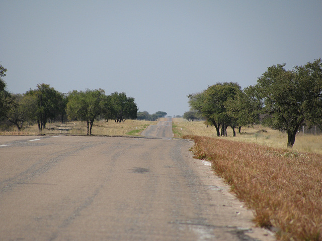 Straße zum Etosha