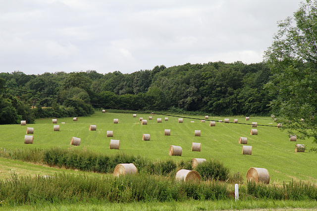 Campagne d'Avril-sur-Loire