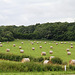 Campagne d'Avril-sur-Loire