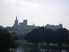 Palais des Papes vu depuis l'autre rive.