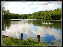 AU FIL DE L'EAU ***