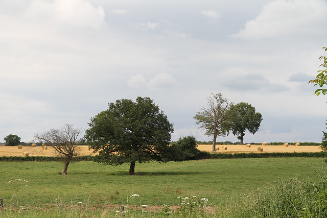 La Collancelle