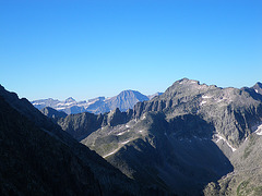 Les stars du cirque de Gavarnie.