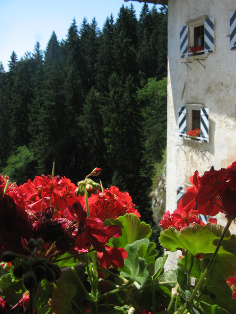 Predjama, Slovenija