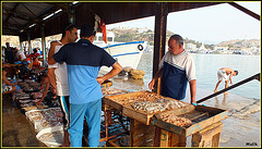 Vente de poisson a même le quai..