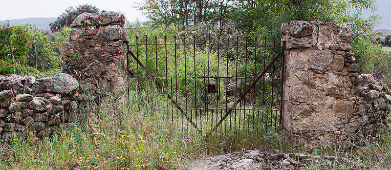 20120517 0185RAw [E] Tor, Herguijuela, Extremadura