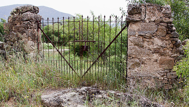 20120517 0183RAw [E] Tor, Herguijuela