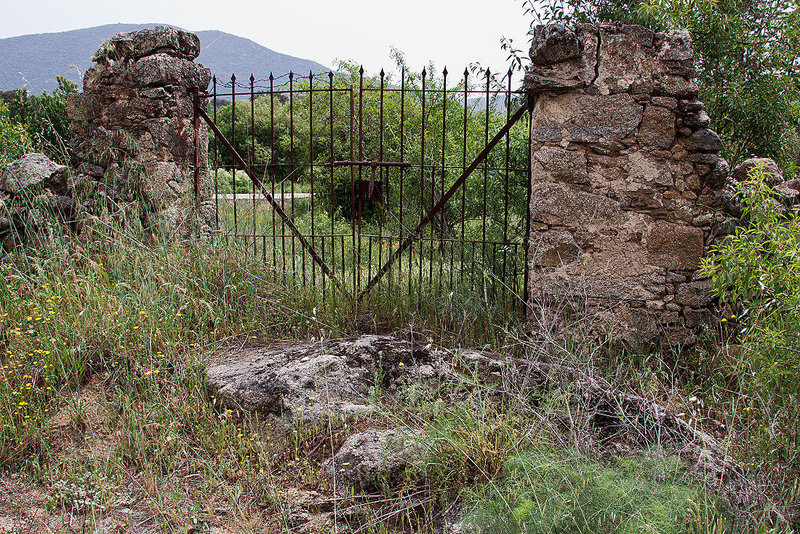 20120517 0182RAw [E] Tor, Herguijuela, Extremadura