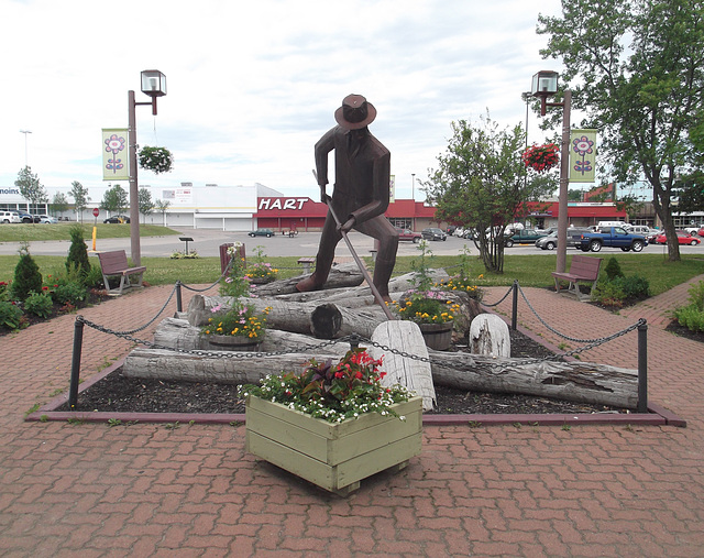 Le Draveur de Donald Doiron's raftman - 30 juin 2012.