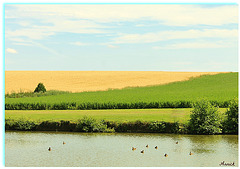 DOUCEUR *** DOUCEUR ***