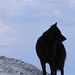 20110512 Fee Mt St Baudille (43)