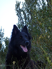 20120816 Maison forestiere grenouillet madieres (43)